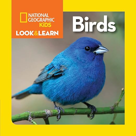 National Geographic Kids Look and Learn: Birds (Look & Learn)