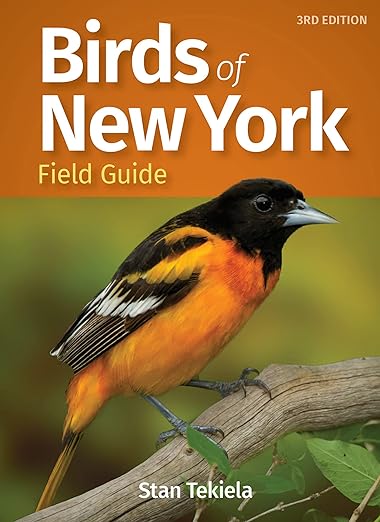 Birds of New York Field Guide (Bird Identification Guides)