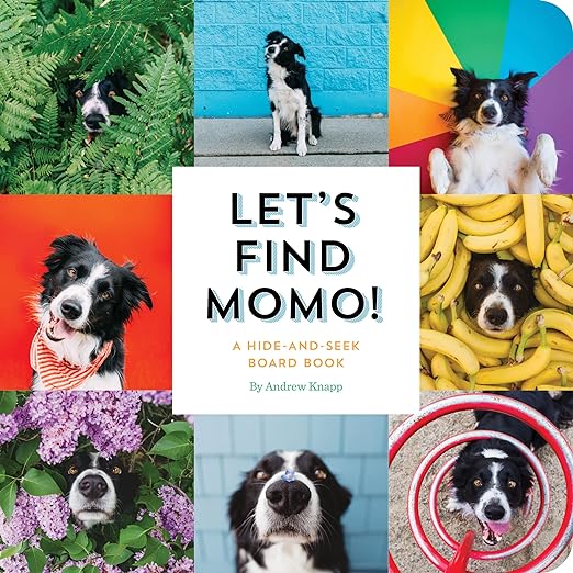 Let's Find Momo!: A Hide-and-Seek Board Book